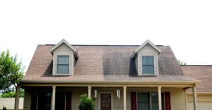 IDW Roof Cleaning Services